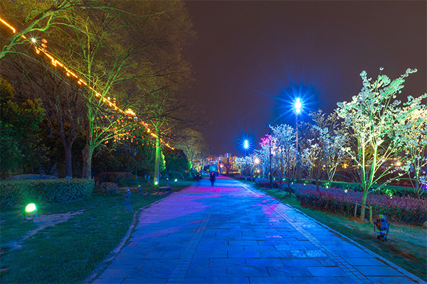 公園夜景亮化