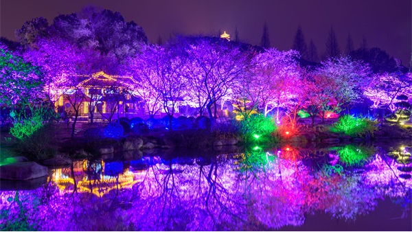 景觀燈光工程營造雅致的夜游氛圍